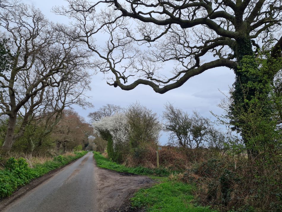 2024-03-30 29 Covehithe and Benacre.jpg