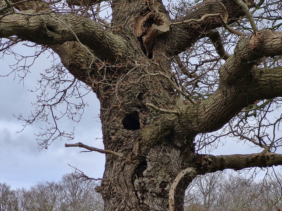 2024-03-30 31 Covehithe and Benacre.jpg