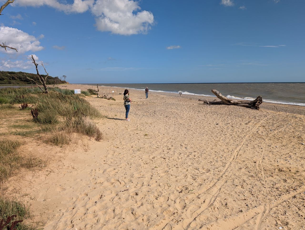 2025-08-30 03 Covehithe.jpg