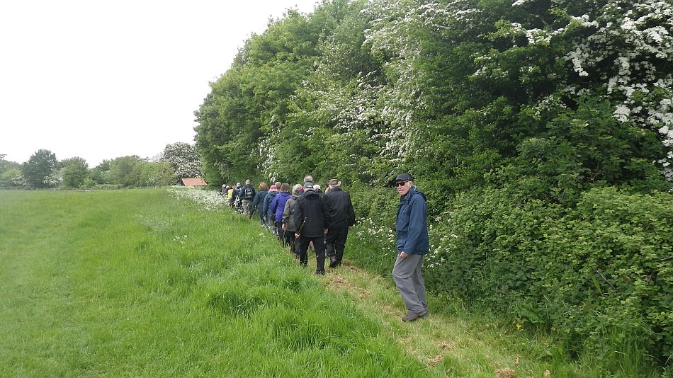 2016-05-25 01 St. James South Elmham.jpg