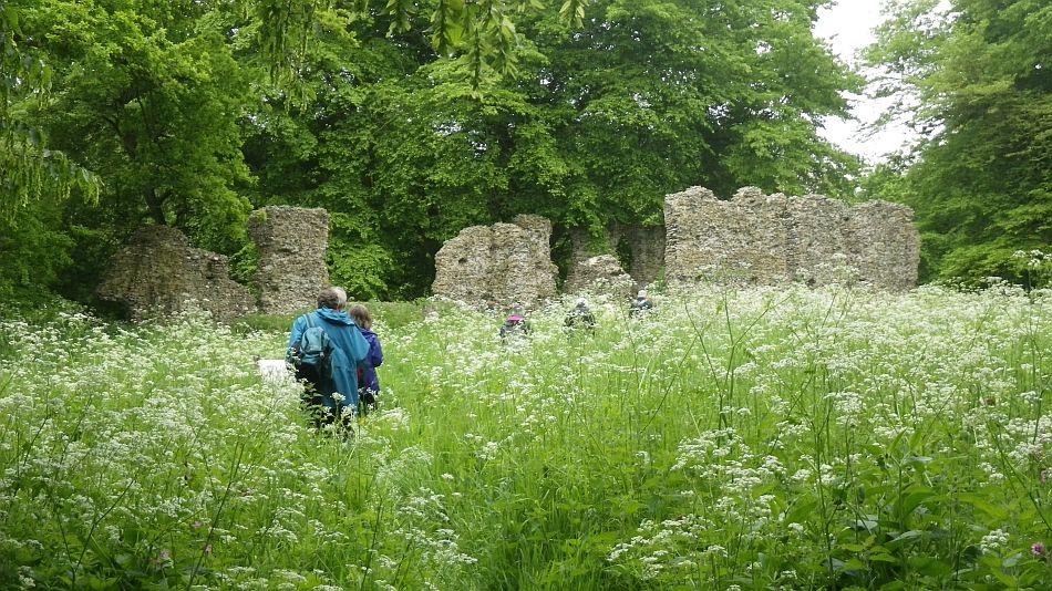 2016-05-25 02 St. James South Elmham.jpg