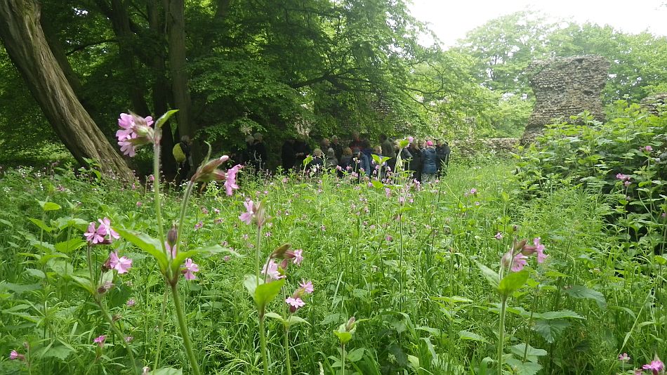 2016-05-25 04 St. James South Elmham.jpg