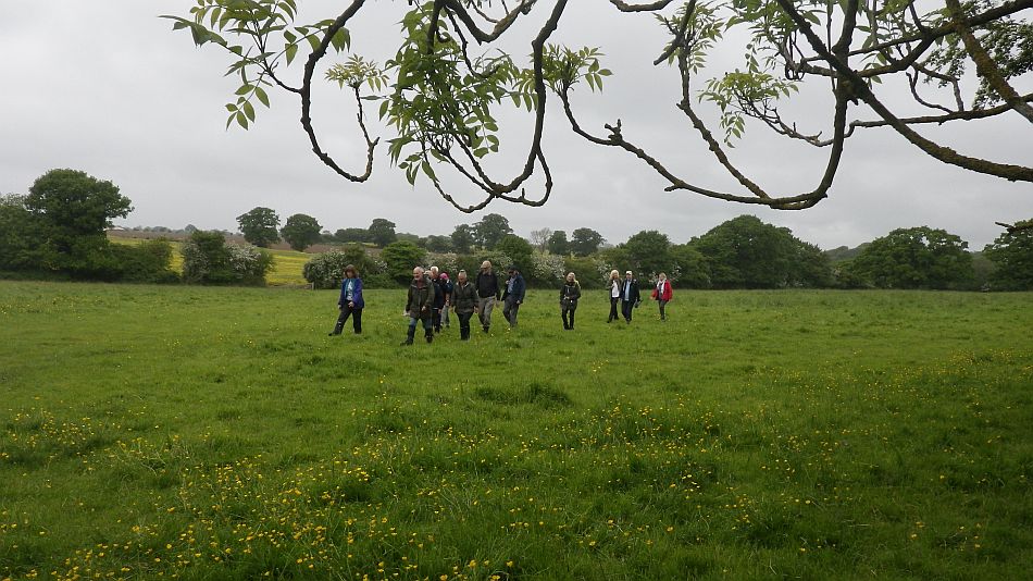 2016-05-25 06 St. James South Elmham.jpg