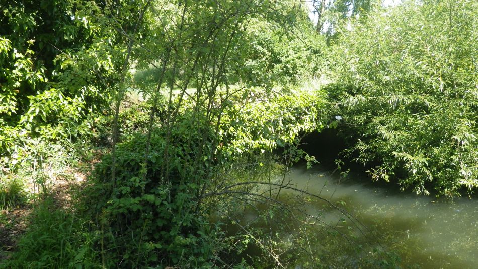 2017-06-14 05 St James St Cross and South Elmham.jpg