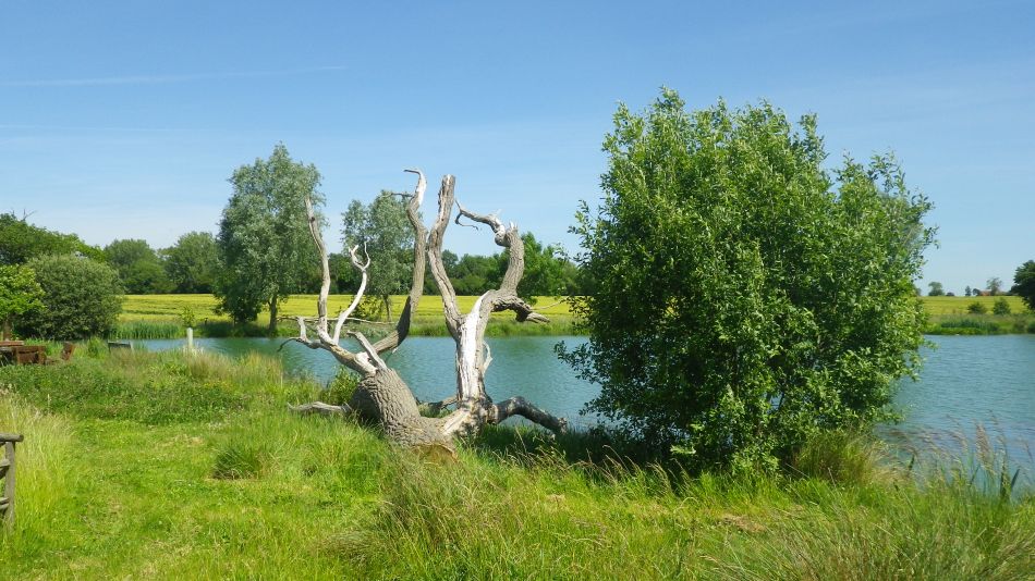 2017-06-14 08 St James St Cross and South Elmham.jpg