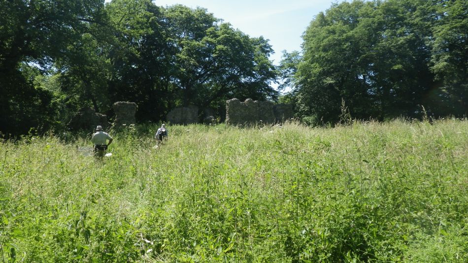 2017-06-14 12 St James St Cross and South Elmham.jpg