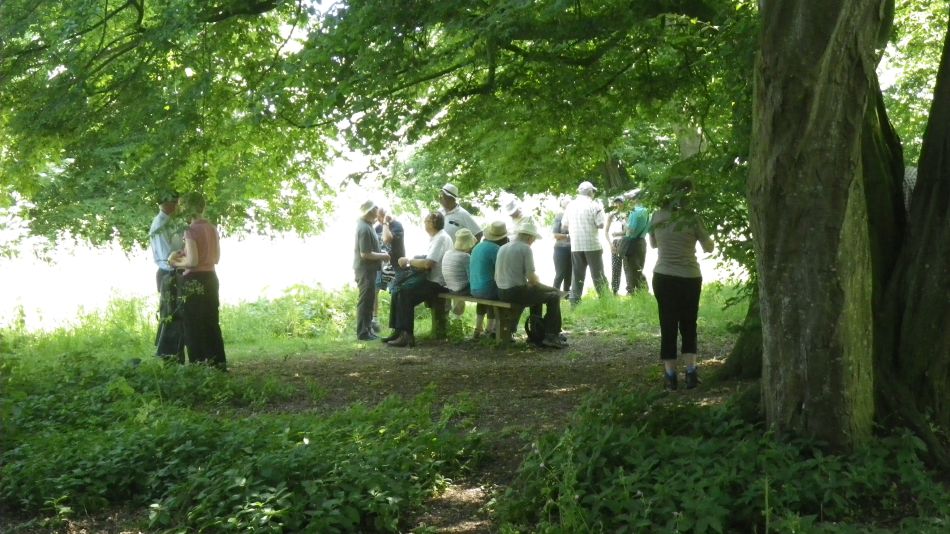 2017-06-14 18 St James St Cross and South Elmham.jpg