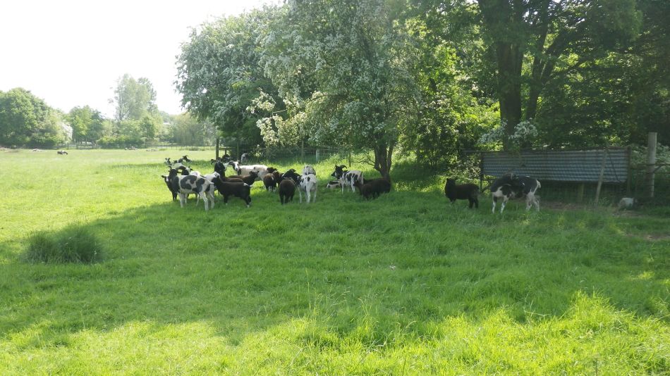 2018-05-23 02 St James and St Cross.jpg