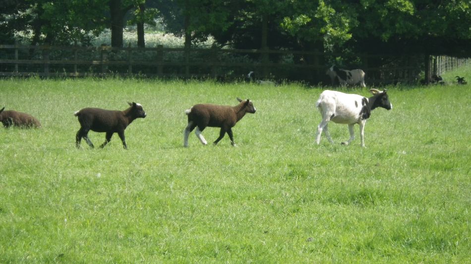 2018-05-23 03 St James and St Cross.jpg