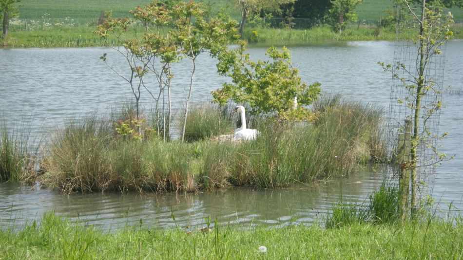 2018-05-23 05 St James and St Cross.jpg