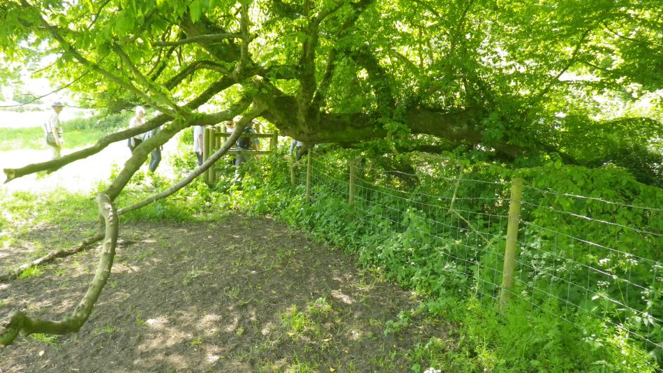 2019-05-22 09 Minster Ruins.jpg