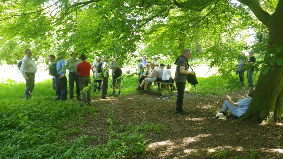 2019-05-22 15 Banana Break.jpg