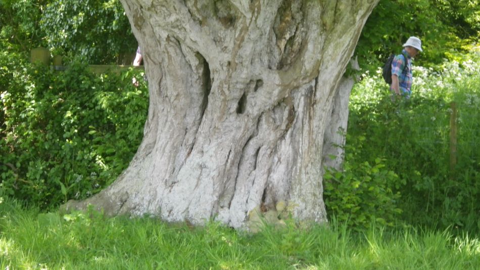 2019-05-22 19 St James and St Cross.jpg