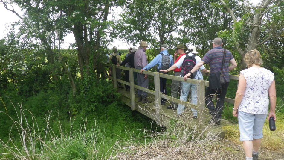 2019-05-22 20 St James and St Cross.jpg