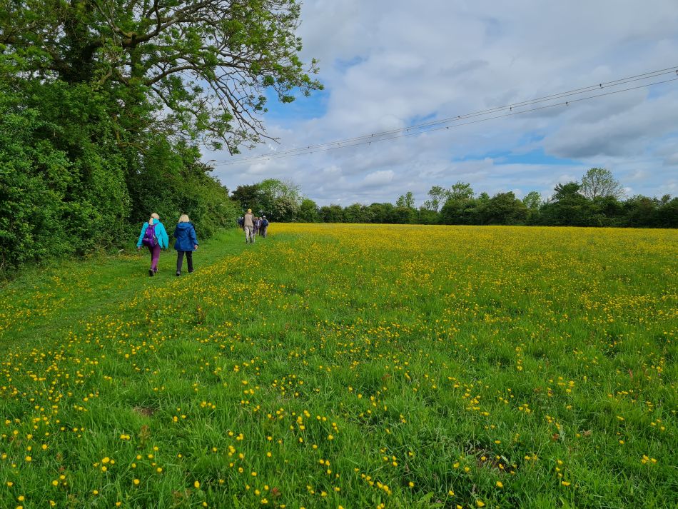 2022-05-25 04 Saints James and Cross.jpg