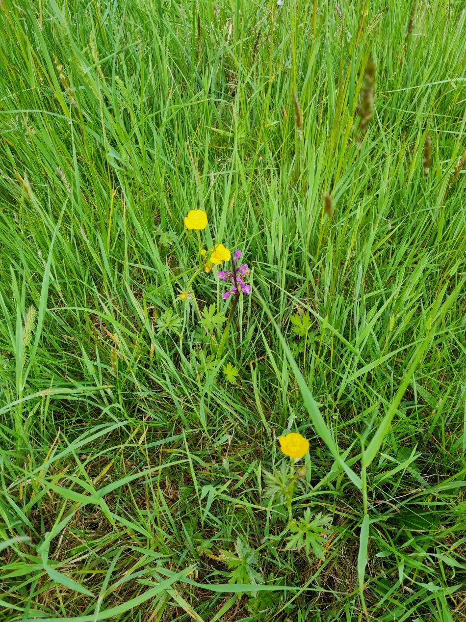 2022-05-25 05 Saints James and Cross.jpg