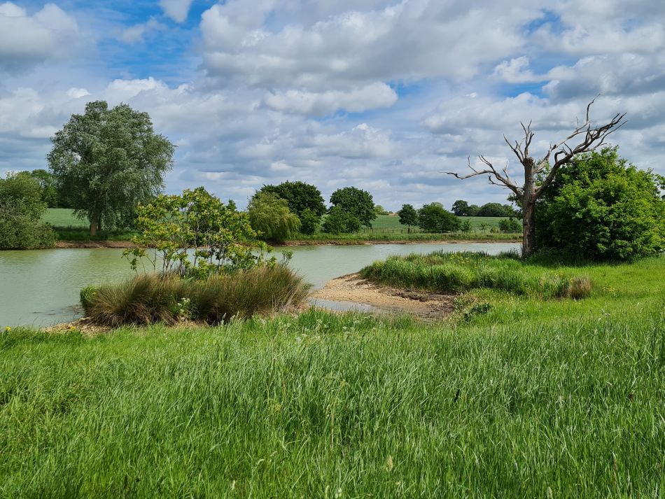 2022-05-25 10 Saints James and Cross.jpg