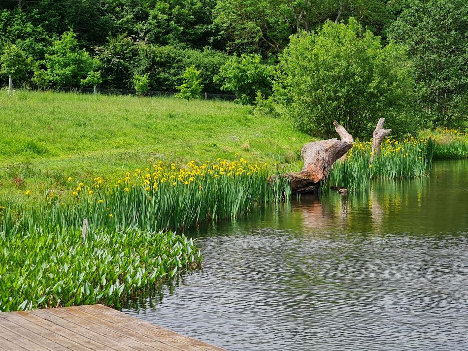 2022-05-25 11 Saints James and Cross.jpg