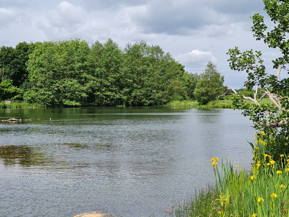 2022-05-25 12 Saints James and Cross.jpg