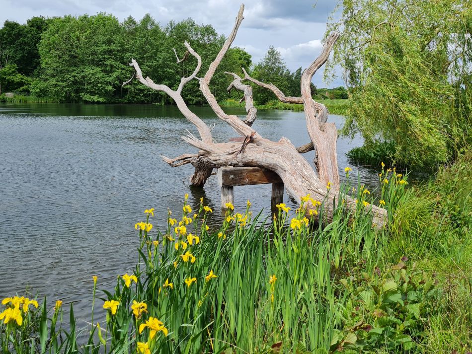 2022-05-25 13 Saints James and Cross.jpg