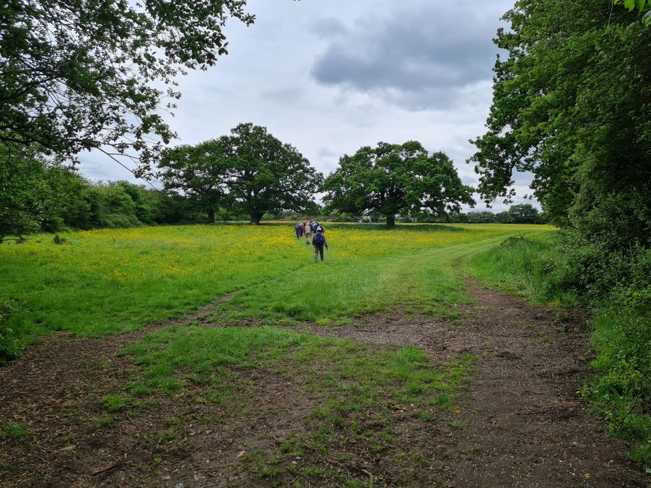 2022-05-25 16 Saints James and Cross.jpg