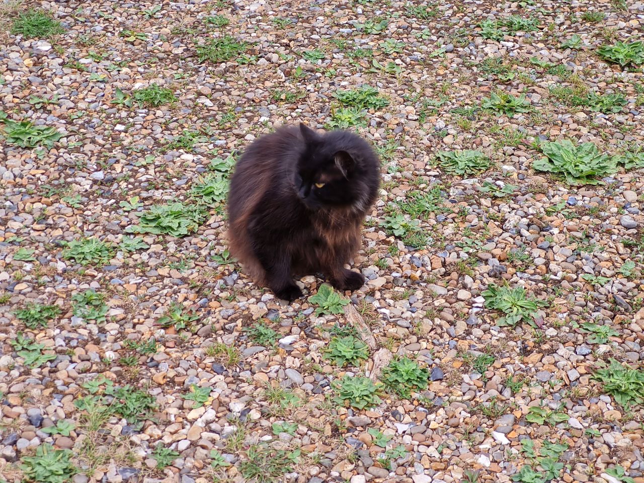 2025-06-25 06 Saint James South Elmham.jpg