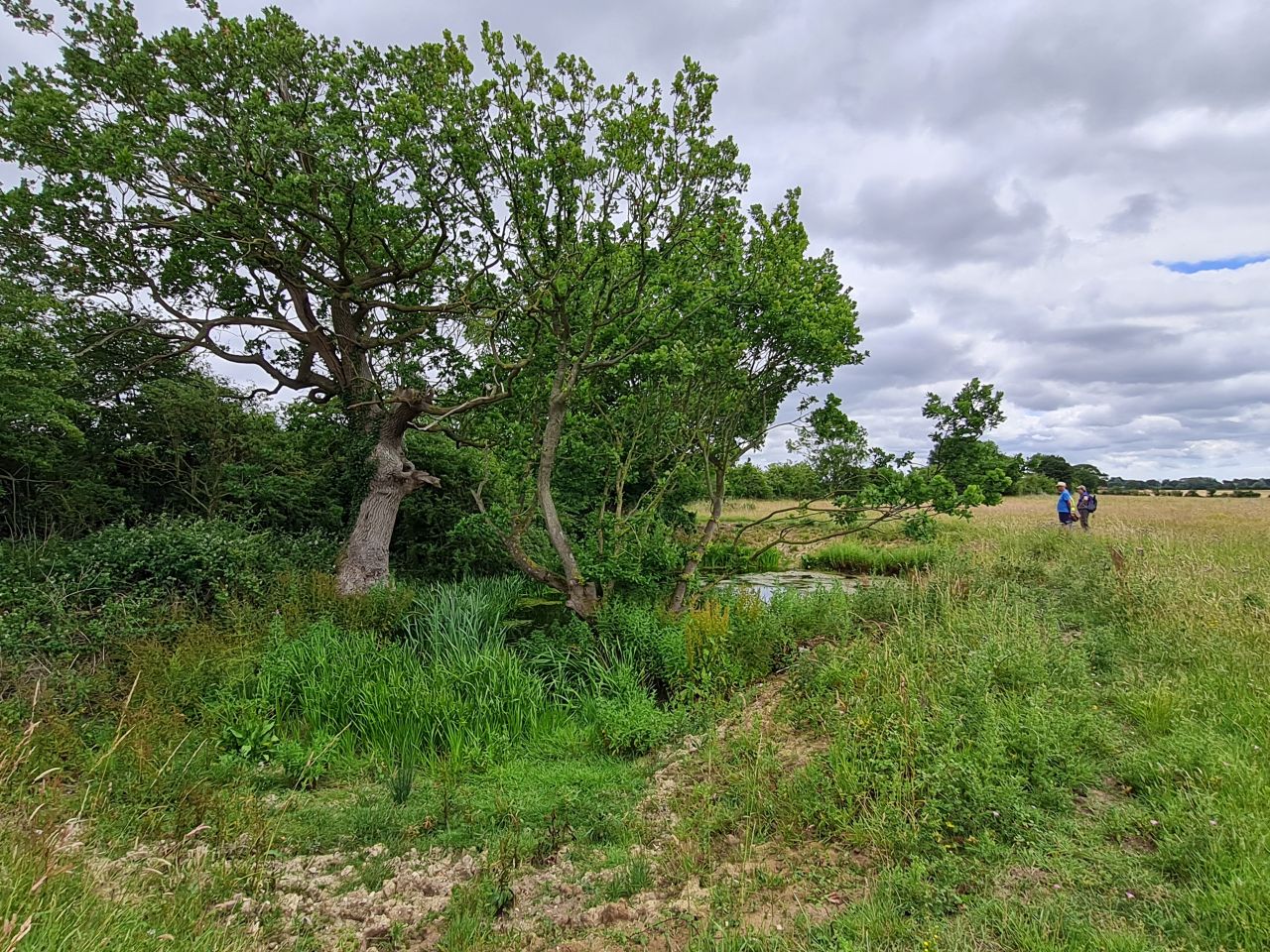 2025-06-25 10 Saint James South Elmham.jpg