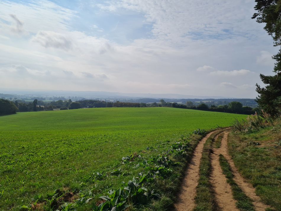 2021-09-26 09 Farringdon Buckland Warren and Hatford.jpg