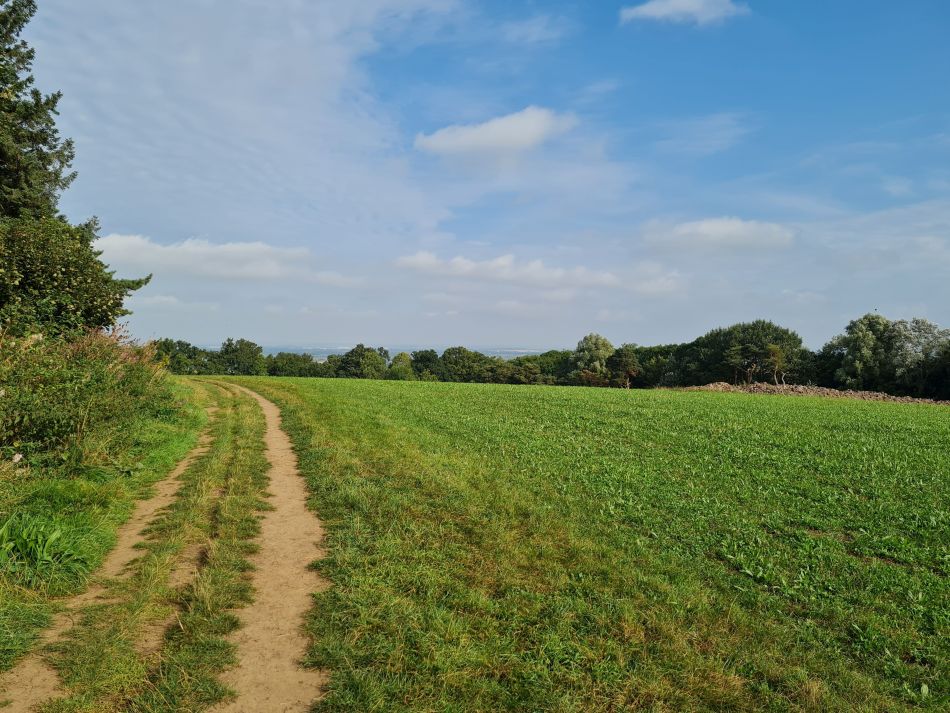 2021-09-26 11 Farringdon Buckland Warren and Hatford.jpg