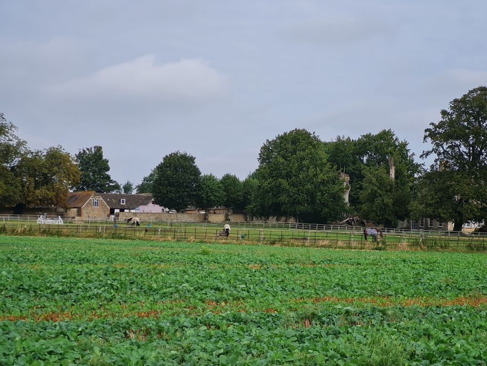 2021-09-26 12 Farringdon Buckland Warren and Hatford.jpg