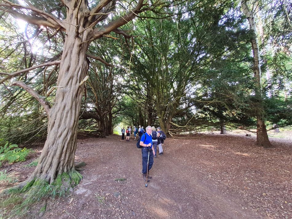 2021-09-26 13 Farringdon Buckland Warren and Hatford.jpg