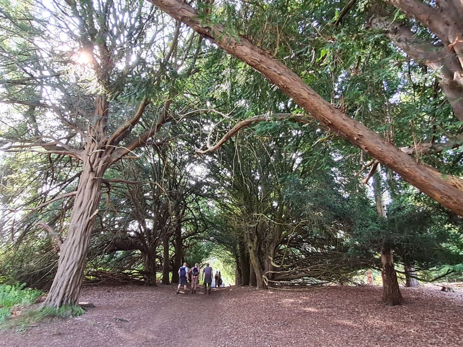 2021-09-26 15 Farringdon Buckland Warren and Hatford.jpg