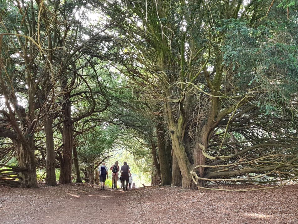 2021-09-26 16 Farringdon Buckland Warren and Hatford.jpg