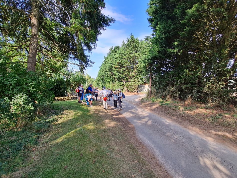 2021-09-26 17 Farringdon Buckland Warren and Hatford.jpg