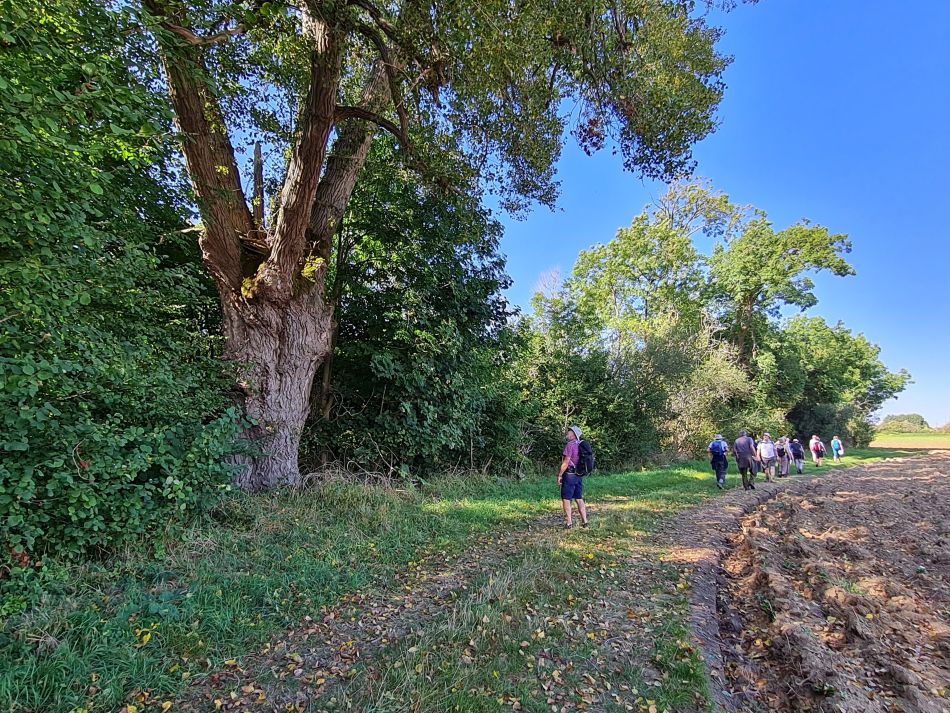 2021-09-26 27 Farringdon Buckland Warren and Hatford.jpg