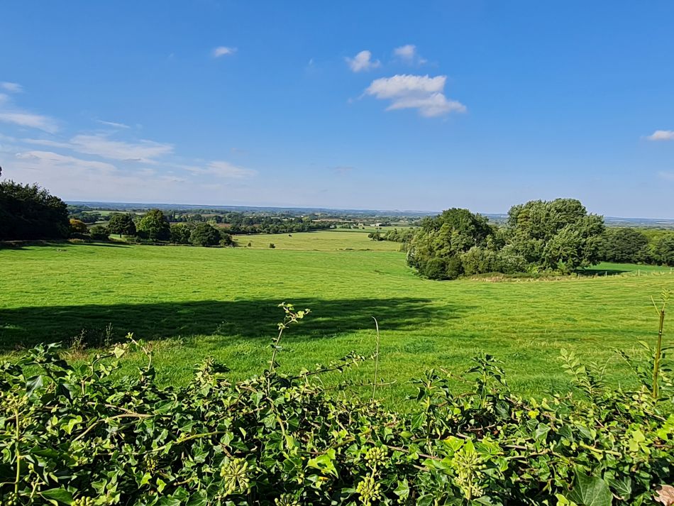2021-09-26 29 Farringdon Buckland Warren and Hatford.jpg
