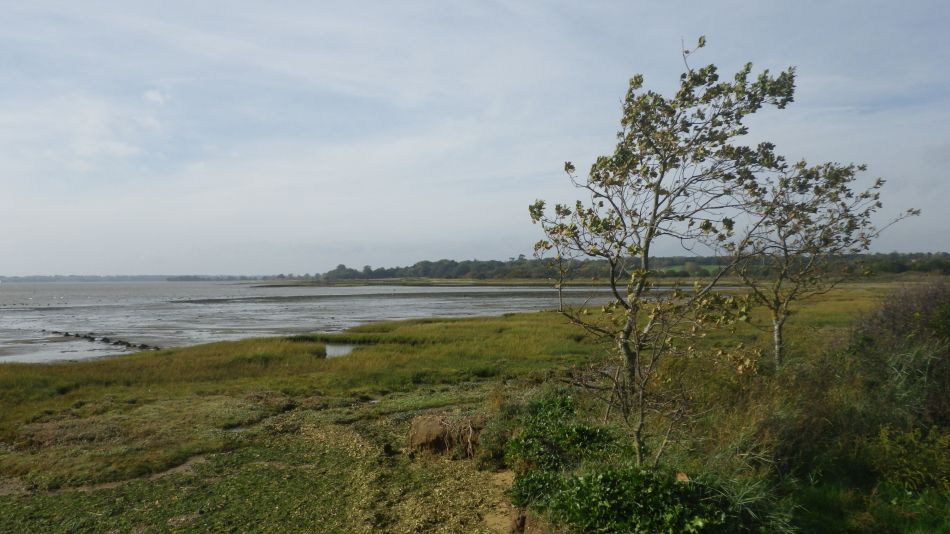 2020-09-03 03 Holbrook and Alton.jpg