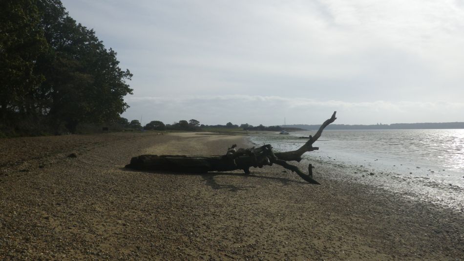 2020-09-03 04 Holbrook and Alton.jpg