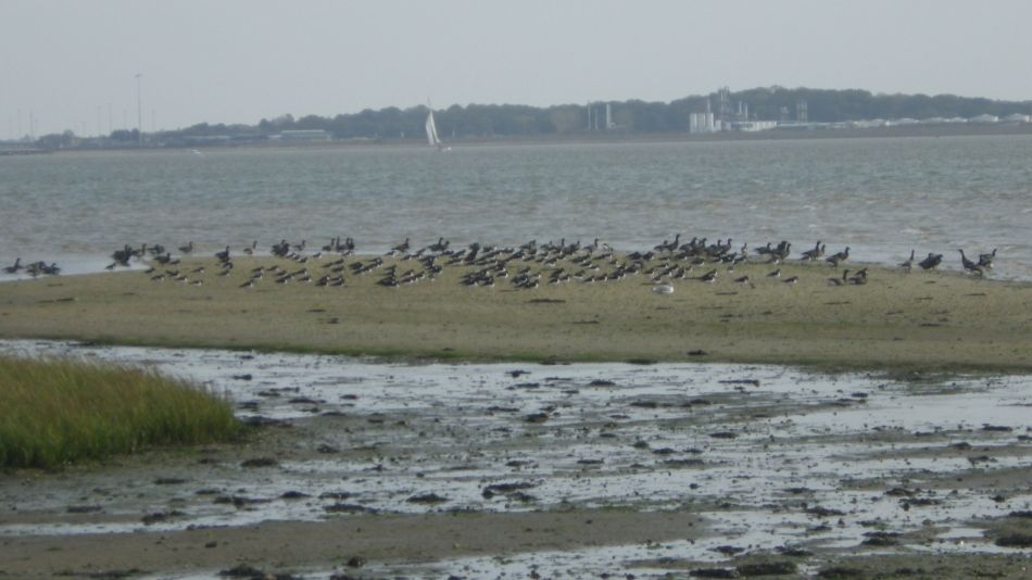 2020-09-03 06 Holbrook and Alton.jpg