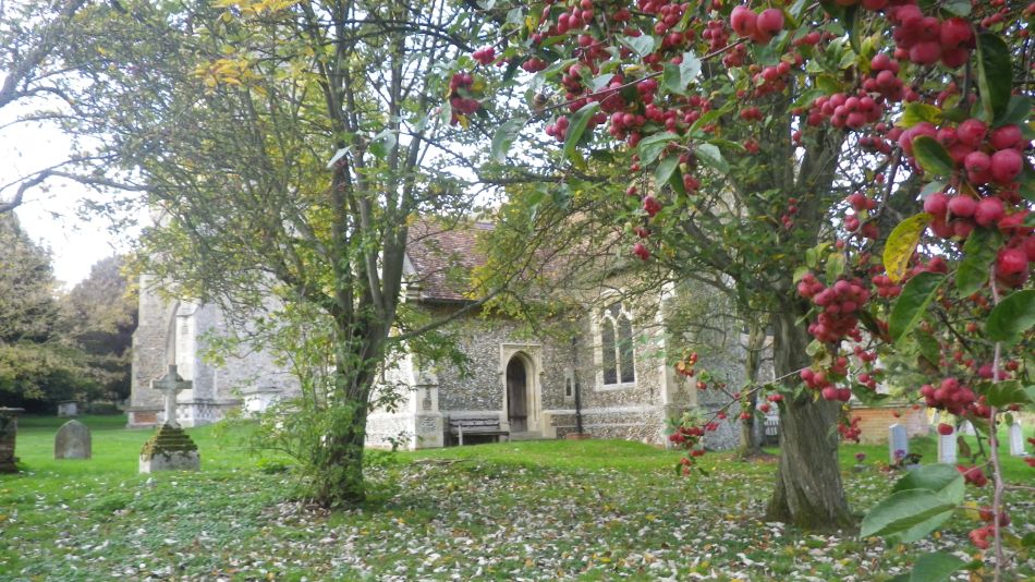 2020-09-03 19 Holbrook and Alton.jpg