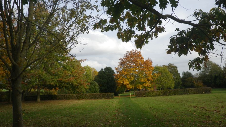 2020-09-03 20 Holbrook and Alton.jpg