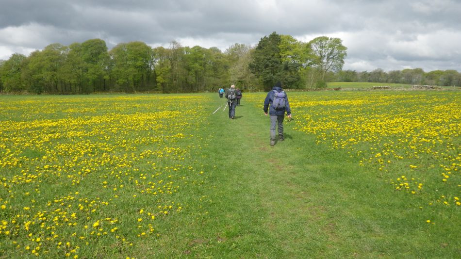 2019-04-28 04 Youlgreave and Over Haddon.JPG