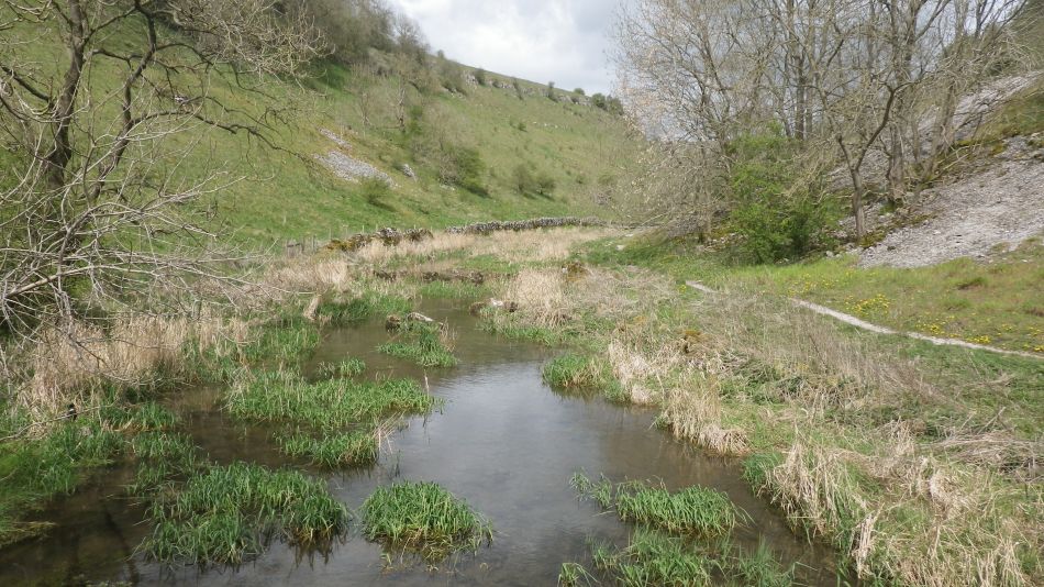 2019-04-28 20 Youlgreave and Over Haddon.JPG