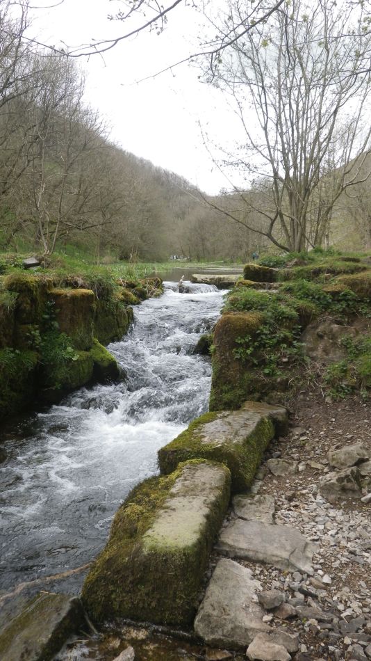 2019-04-28 29 Water Mill.JPG