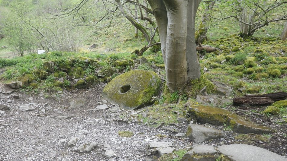 2019-04-28 30 Water Mill.JPG