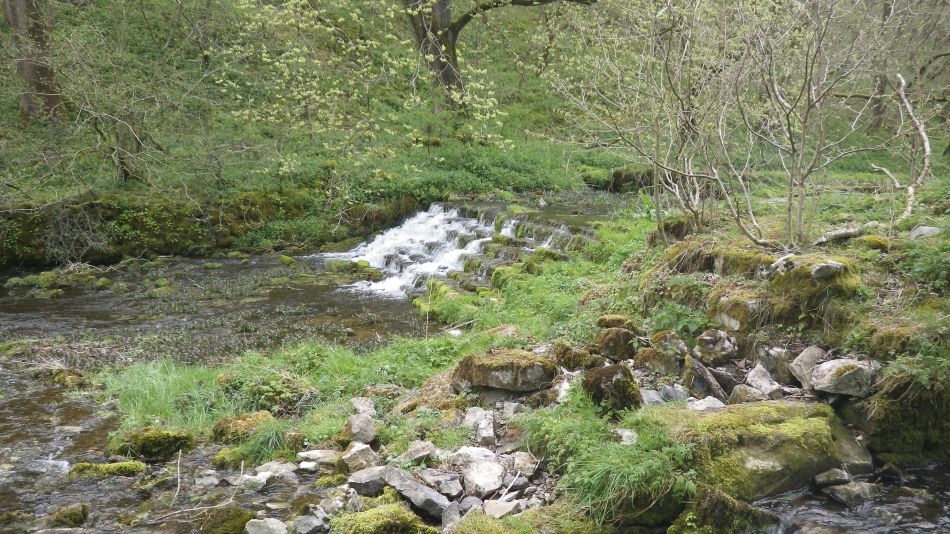 2019-04-28 31 Youlgreave and Over Haddon.JPG