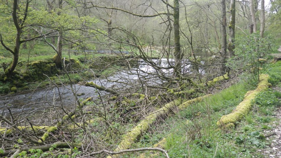 2019-04-28 33 Youlgreave and Over Haddon.JPG