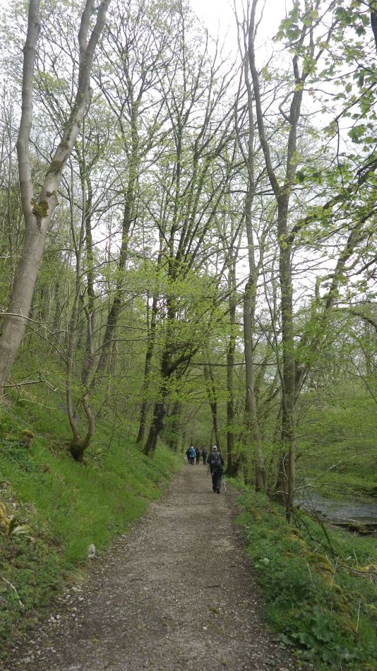 2019-04-28 34 Youlgreave and Over Haddon.JPG