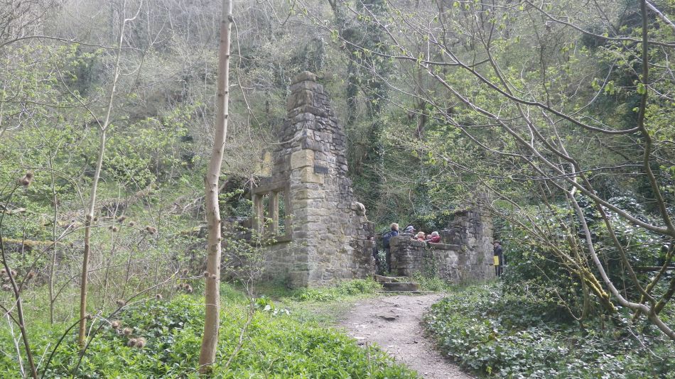 2019-04-28 37 Mining Ruins.JPG