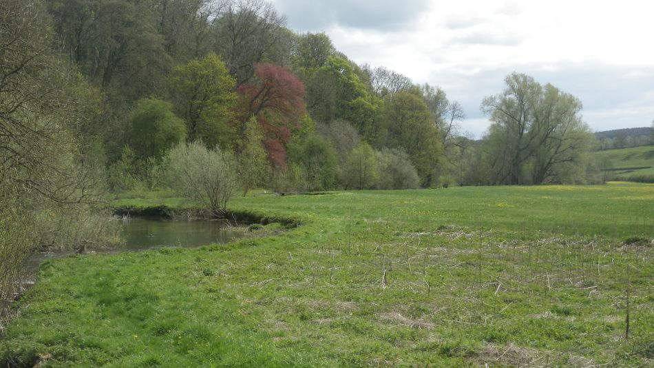 2019-04-28 53 Youlgreave and Over Haddon.JPG